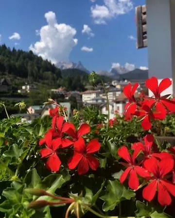 La Casa Di Monte Ricco Pieve di Cadore
